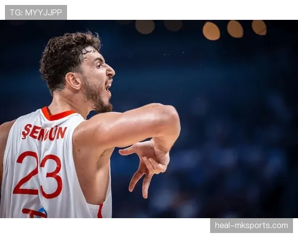 欧洲杯土耳其惊喜